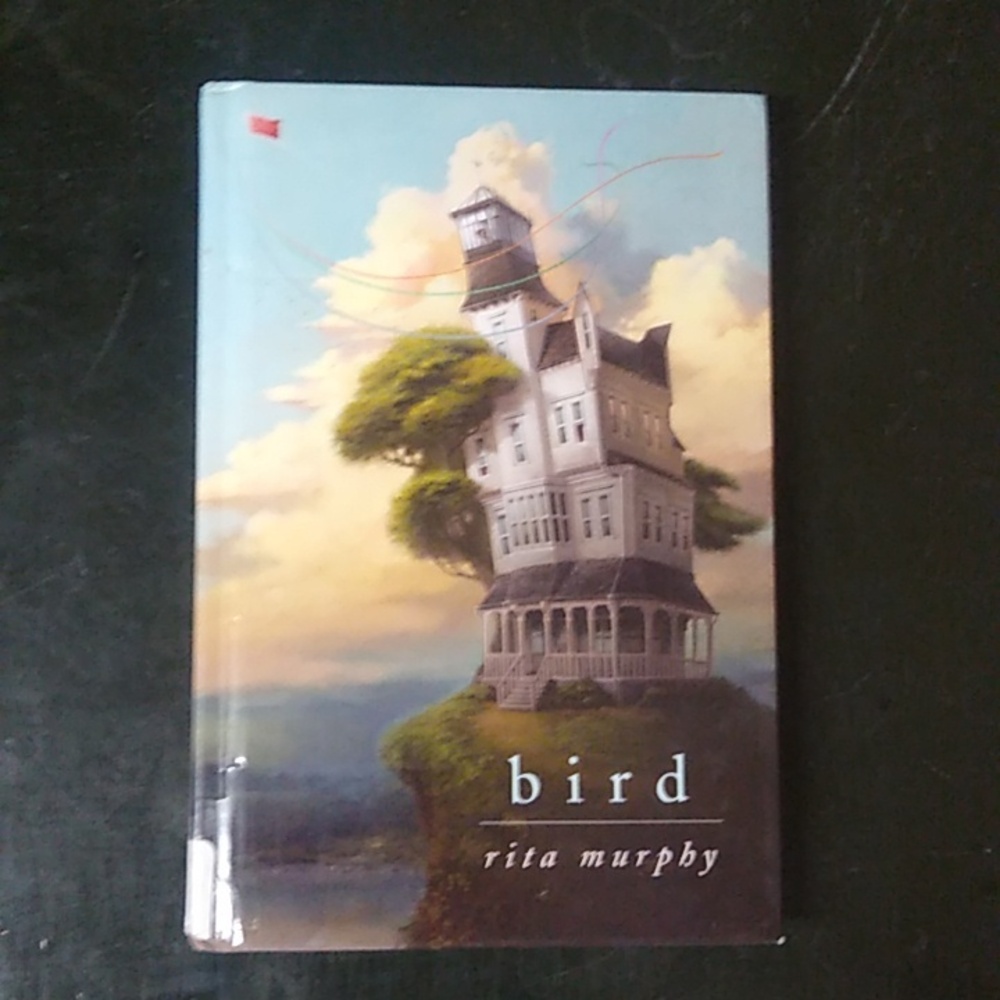 Bird Rita Murphy Children's Chapter Book Junior Fiction Homeschool Literature